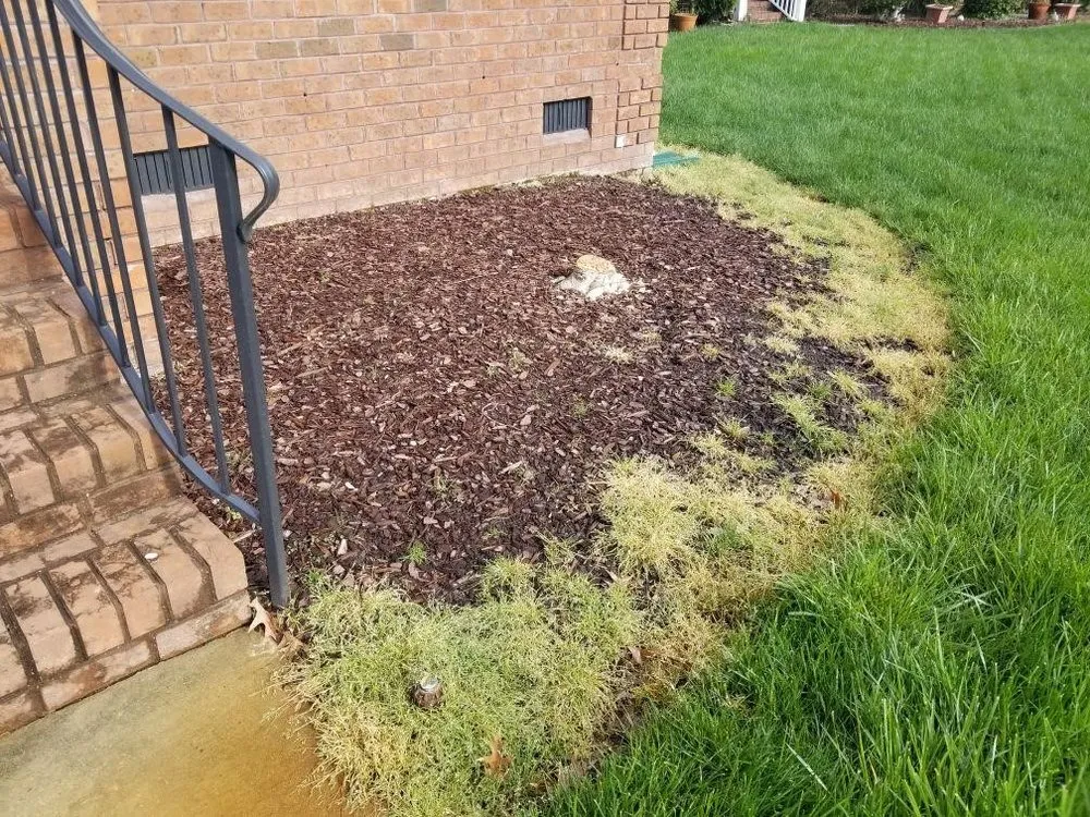 Trusted yard maintenance in Suffolk, VA by Lawn Hedge & Advantages Landscaping