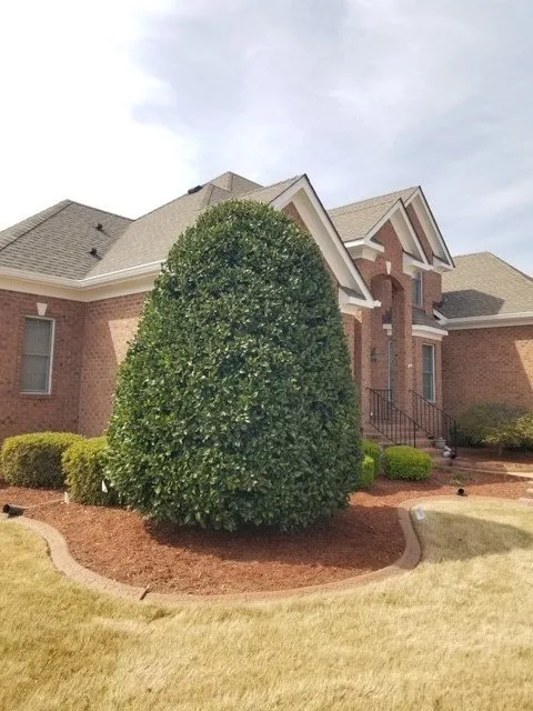 Local yard maintenance for outdoor upgrades in Suffolk, VA by Lawn Hedge & Advantages Landscaping