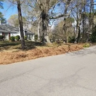 Custom yard cleanup service in Suffolk, VA - Lawn Hedge & Advantages Landscaping