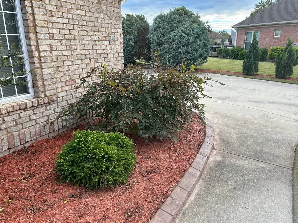 Local landscaping services experts serving Leland, NC - Lawn Hero