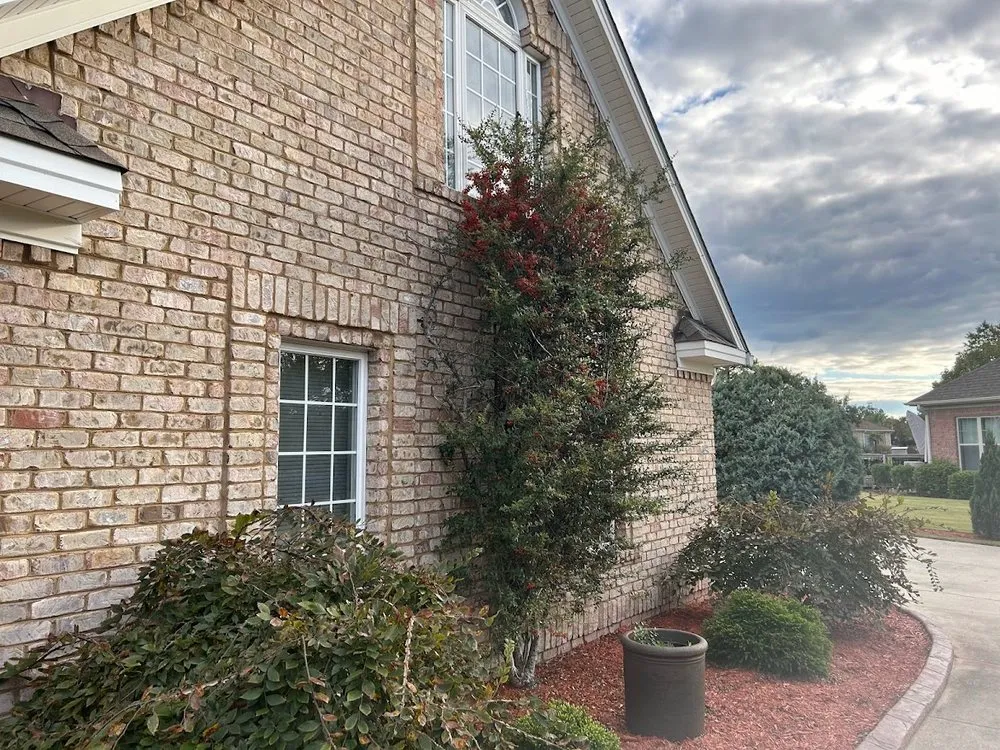 Reliable yard maintenance in Leland, NC by Lawn Hero