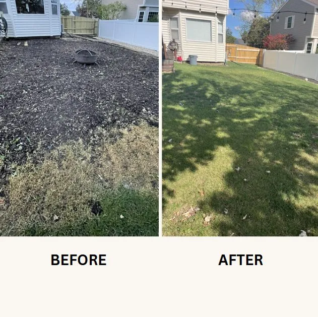 Expert landscape design in Carol Stream, IL by Lawn Heroes