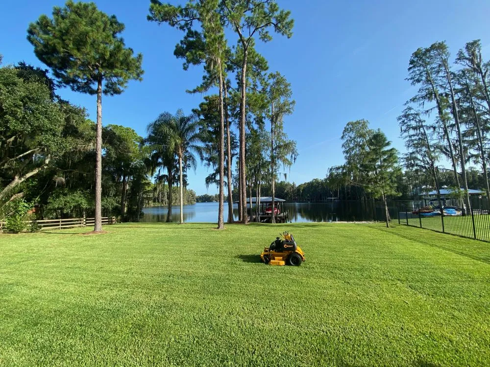 Expert garden landscaping for year-round maintenance across Carrollwood, FL - Lawn Heroes