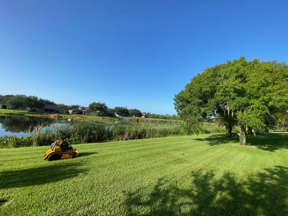 Reliable lawn mowing service experts serving Carrollwood, FL - Lawn Heroes
