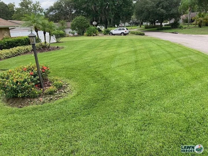 Local landscaping services for year-round maintenance in Carrollwood, FL by Lawn Heroes