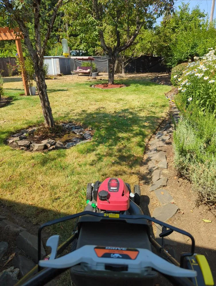 Affordable yard cleanup service in Grants Pass, OR - Lawn Heroes