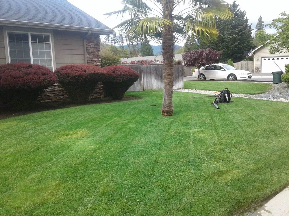 Local yard cleanup service in Grants Pass, OR by Lawn Heroes
