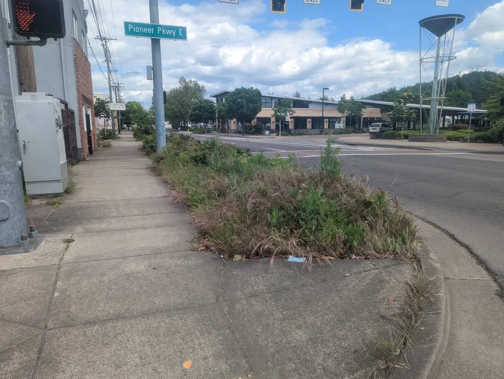 Reliable lawn care service for homes in Grants Pass, OR by Lawn Heroes