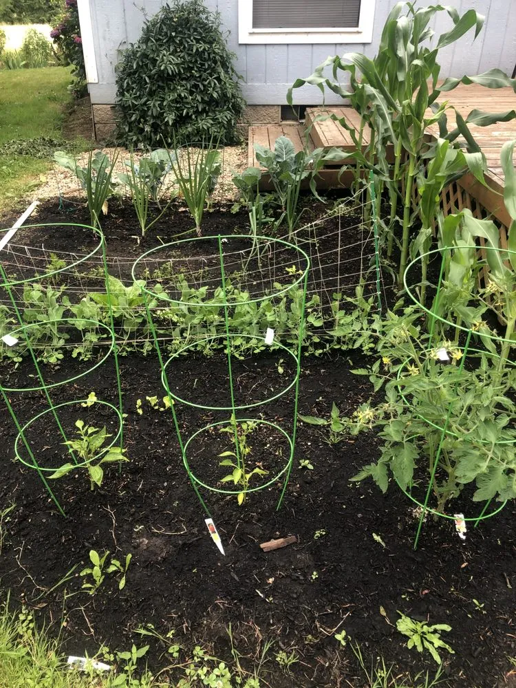 Top-rated outdoor landscaping in Grants Pass, OR by Lawn Heroes