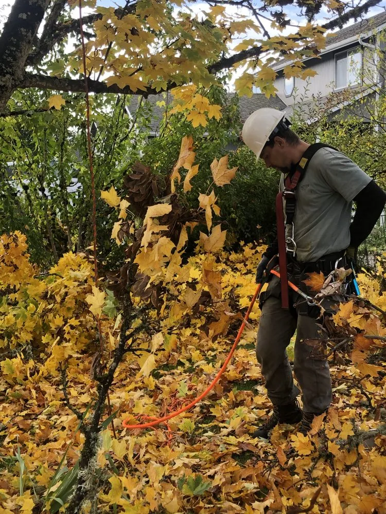 Expert landscaping services near you across Grants Pass, OR - Lawn Heroes