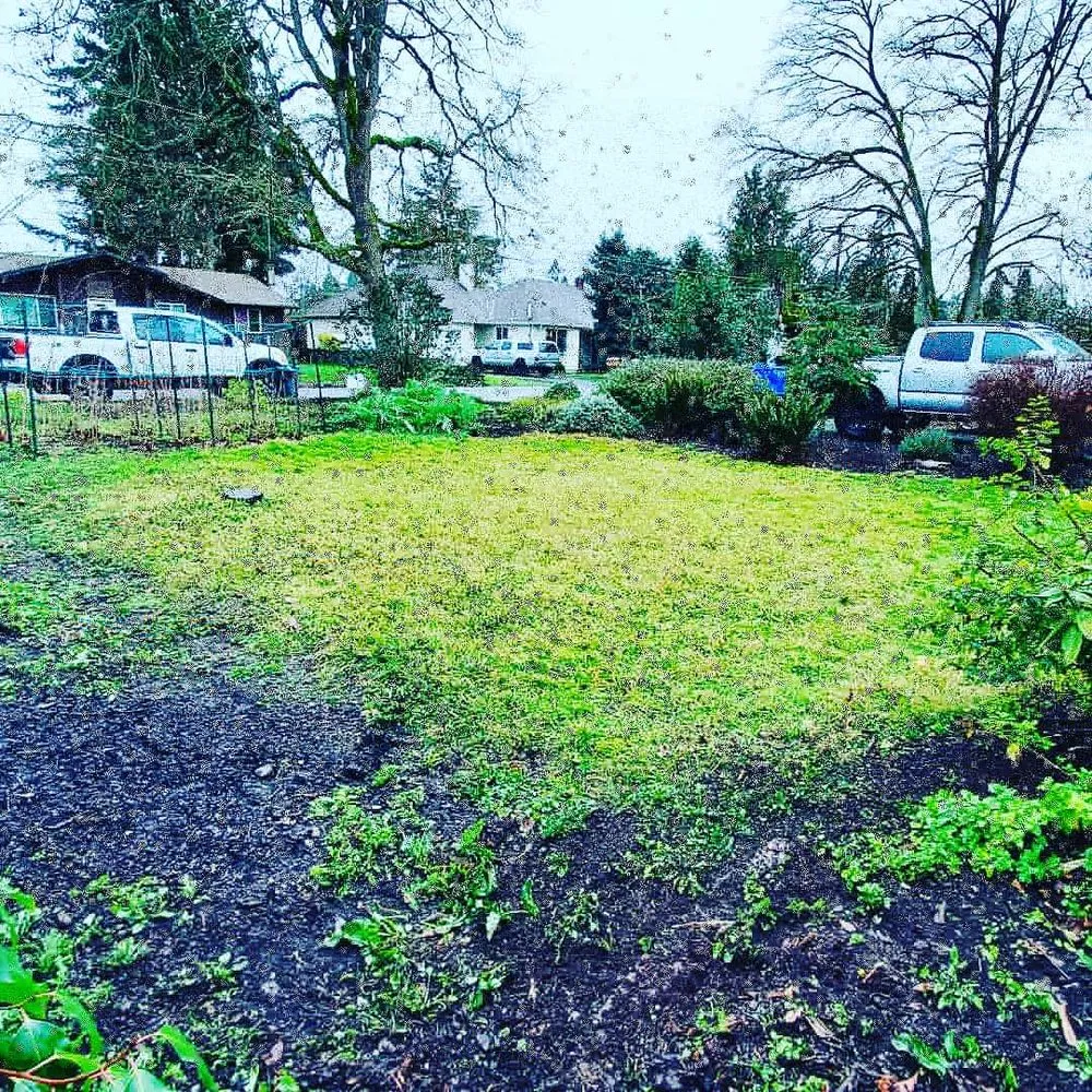Expert landscape installation for outdoor upgrades in Grants Pass, OR by Lawn Heroes