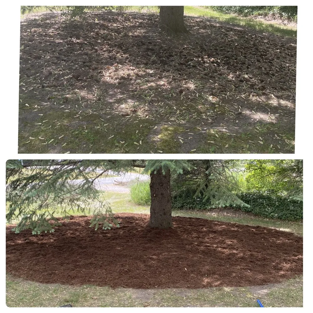 Top-rated landscape design in Auburn, MI by Lawn Hero’s