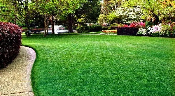 Custom lawn mowing service experts serving Greensboro, NC - Lawn Heros