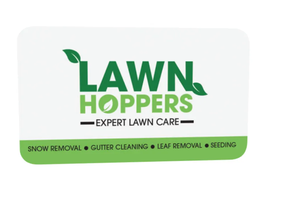 Professional yard cleanup service in Lenexa, KS by Lawn Hoppers