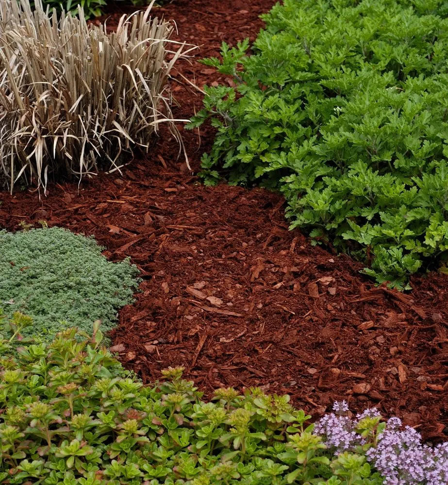 Affordable outdoor landscaping in Mobile, AL by Lawn Hoppers