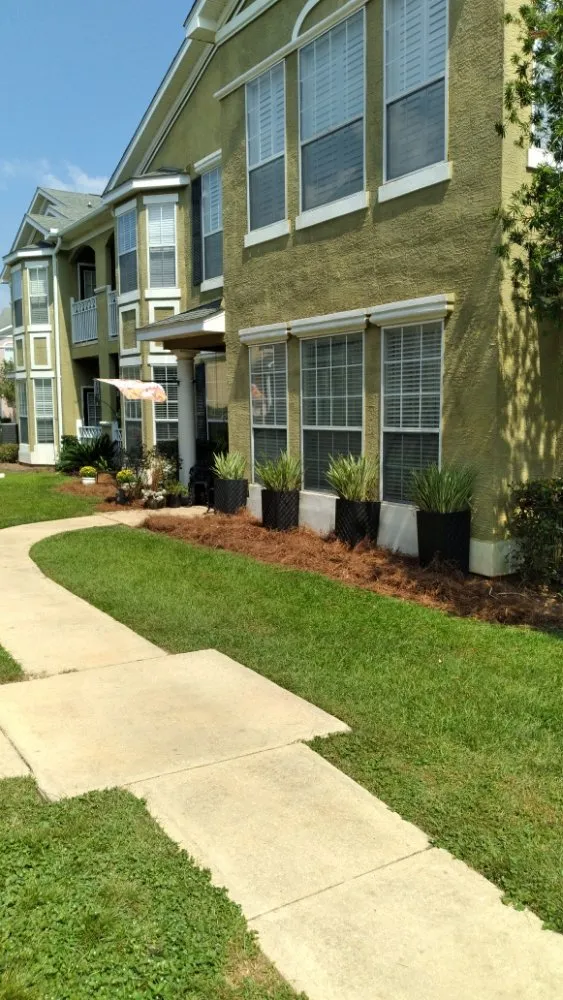 Top-rated yard cleanup service for beautiful yards in Mobile, AL by Lawn Hoppers
