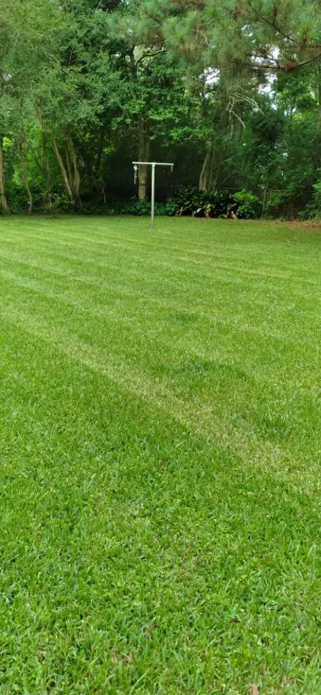 Affordable outdoor landscaping in Mobile, AL by Lawn Hoppers