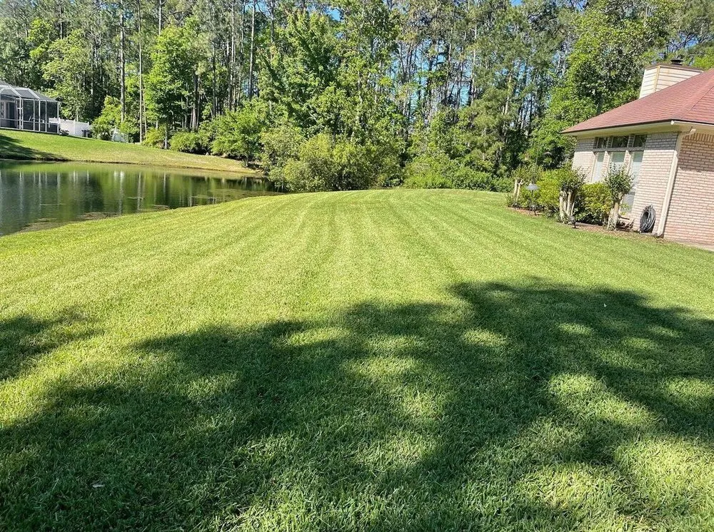 Local landscape design near you across Jacksonville, FL - Lawn Impressions