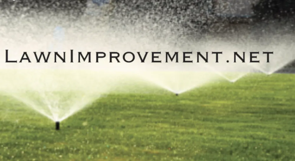 Expert residential landscaping in Kempner, TX - Lawn Improvement