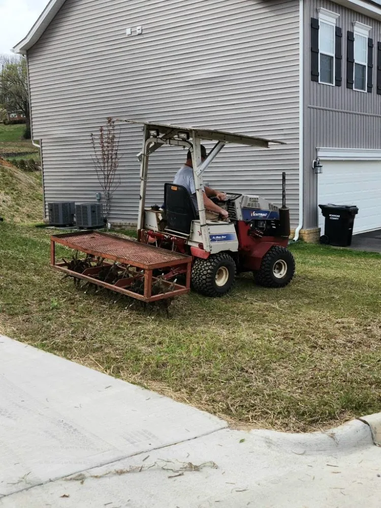 Local residential landscaping in Vinton, VA - Lawn Improvement