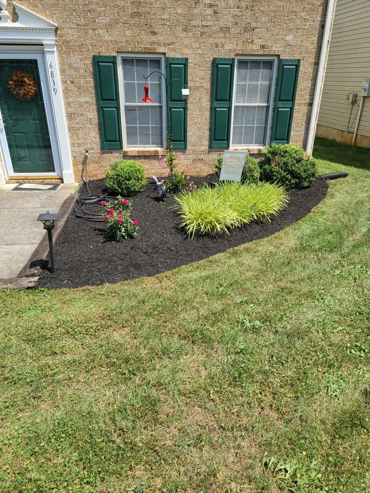 Local residential landscaping with custom design across Vinton, VA - Lawn Improvement