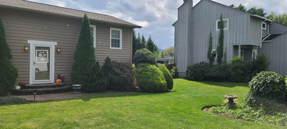 Trusted yard cleanup service for outdoor upgrades across Vinton, VA - Lawn Improvement