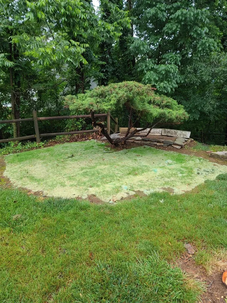 Top-rated yard maintenance for outdoor upgrades in Vinton, VA by Lawn Improvement