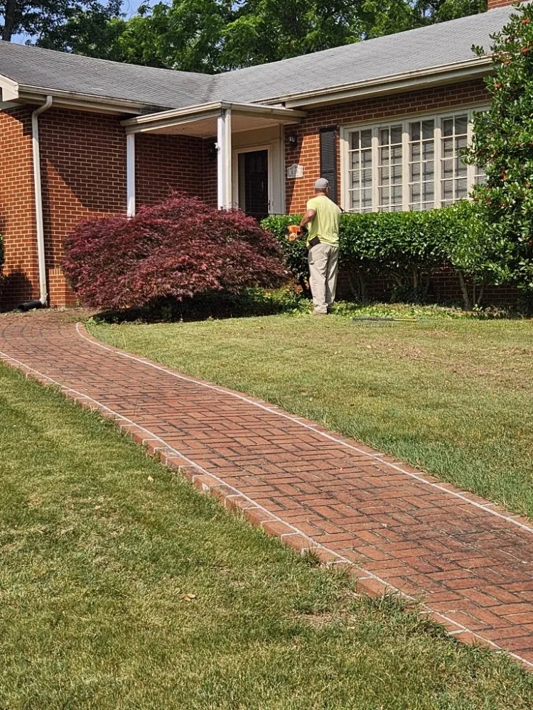 Top-rated landscaping services for outdoor upgrades across Vinton, VA - Lawn Improvement