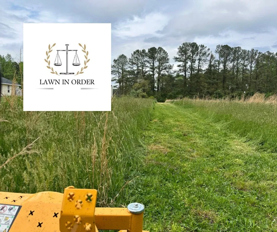 Professional lawn care service experts serving Colonial Heights, VA - Lawn In Order