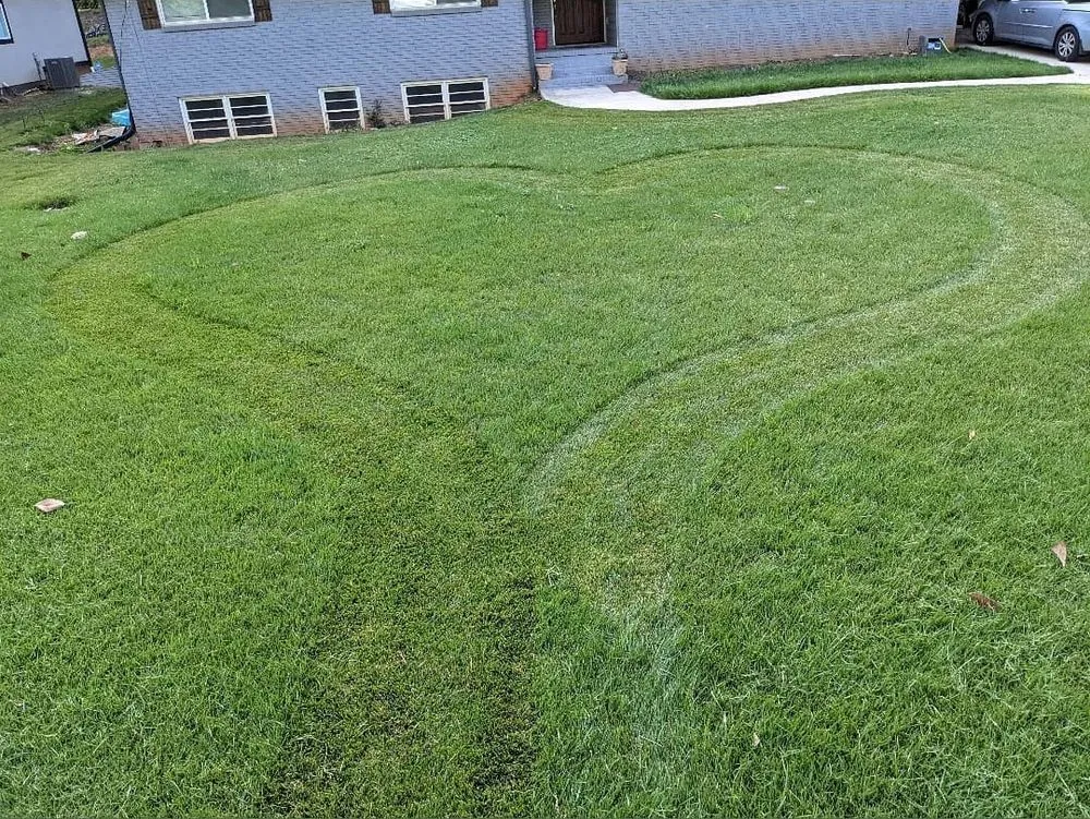 Affordable landscape design for residential properties across Decatur, GA - Lawn In Order