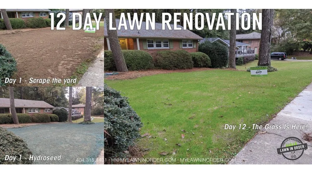 Local outdoor landscaping for beautiful yards in Decatur, GA by Lawn In Order