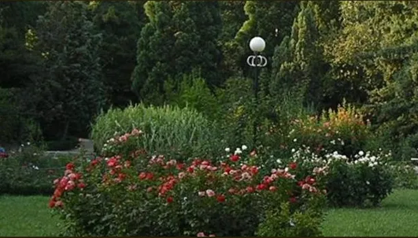 Trusted landscape design near you in Fountain, CO by Lawn In Order