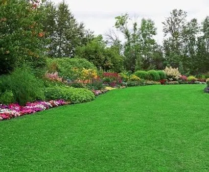 Professional lawn mowing service for beautiful yards in Fountain, CO by Lawn In Order
