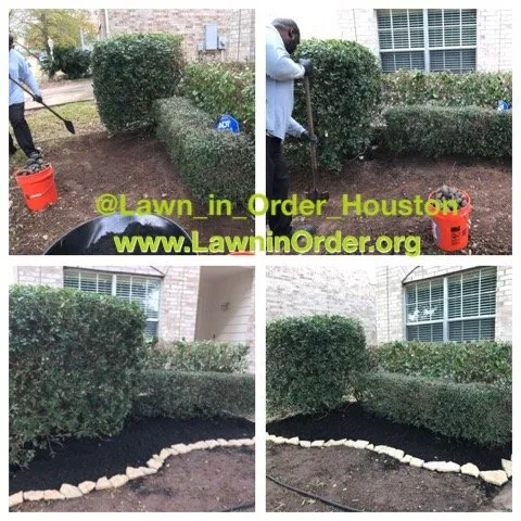 Reliable lawn care service in Houston, TX by Lawn In Order