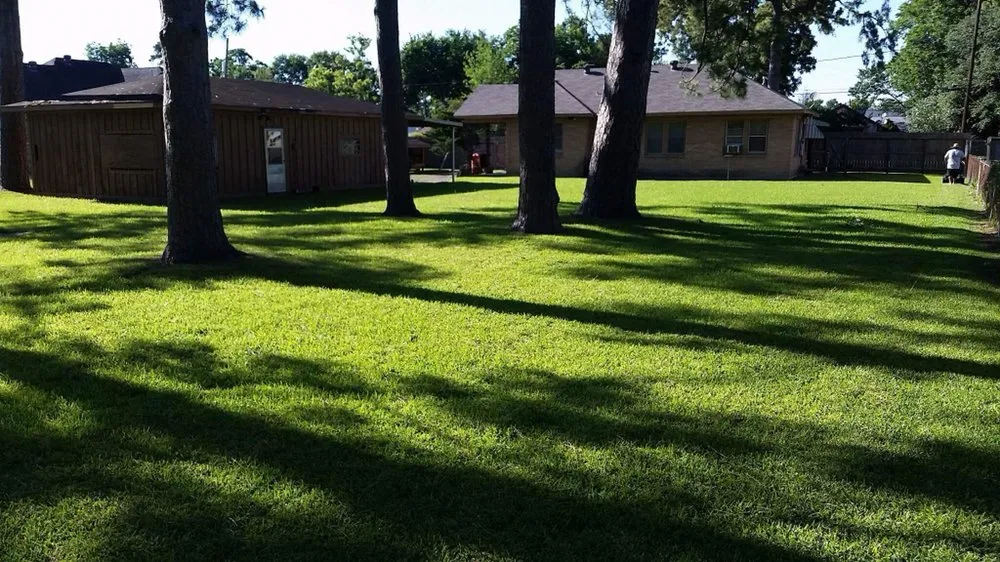 Reliable yard maintenance with custom design across Houston, TX - Lawn In Order