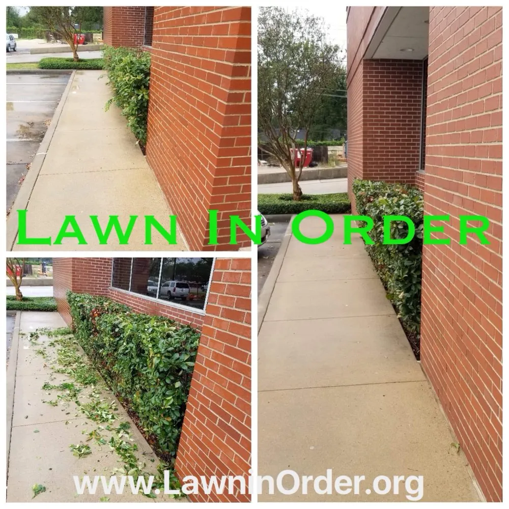 Expert landscape installation in Houston, TX - Lawn In Order