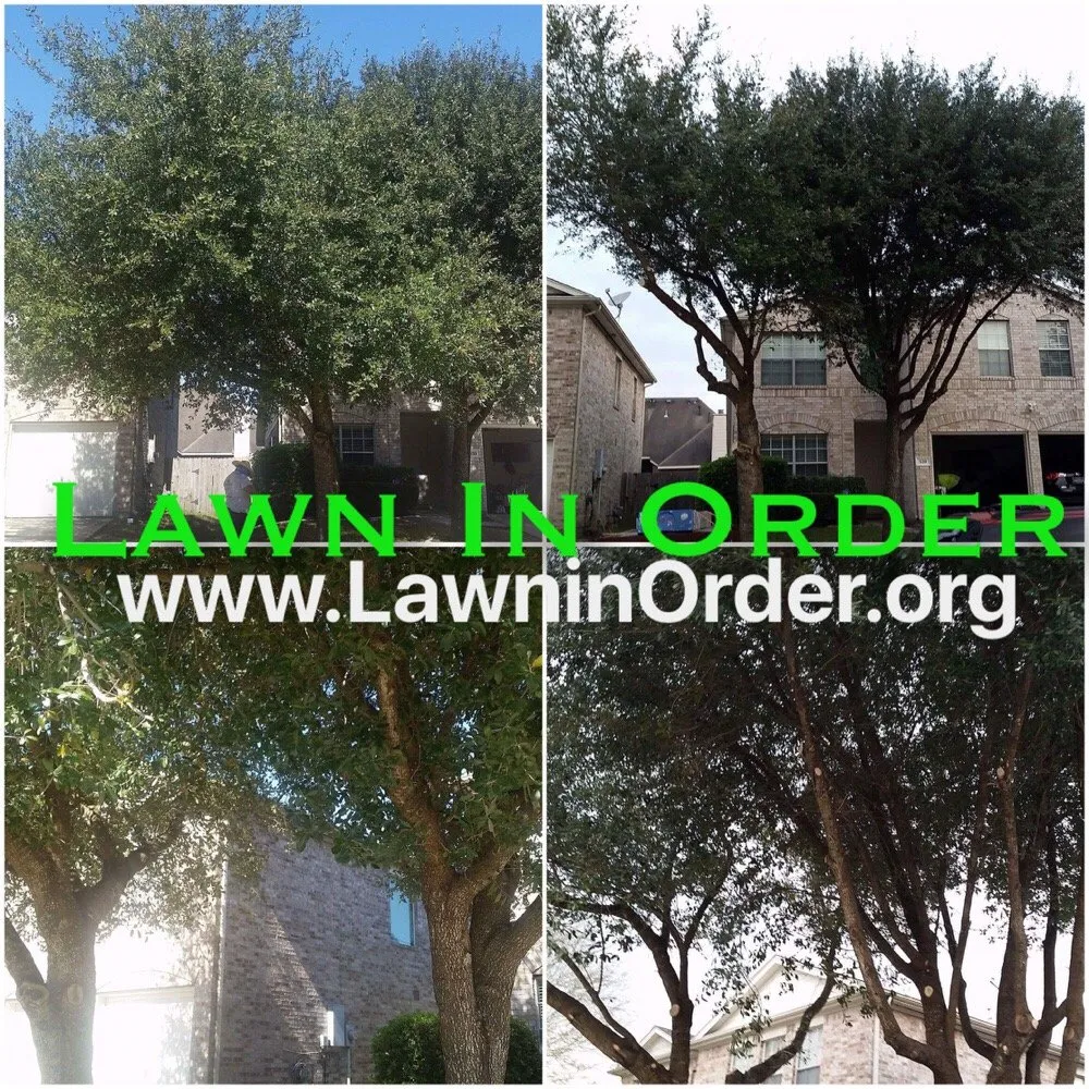 Trusted residential landscaping experts serving Houston, TX - Lawn In Order