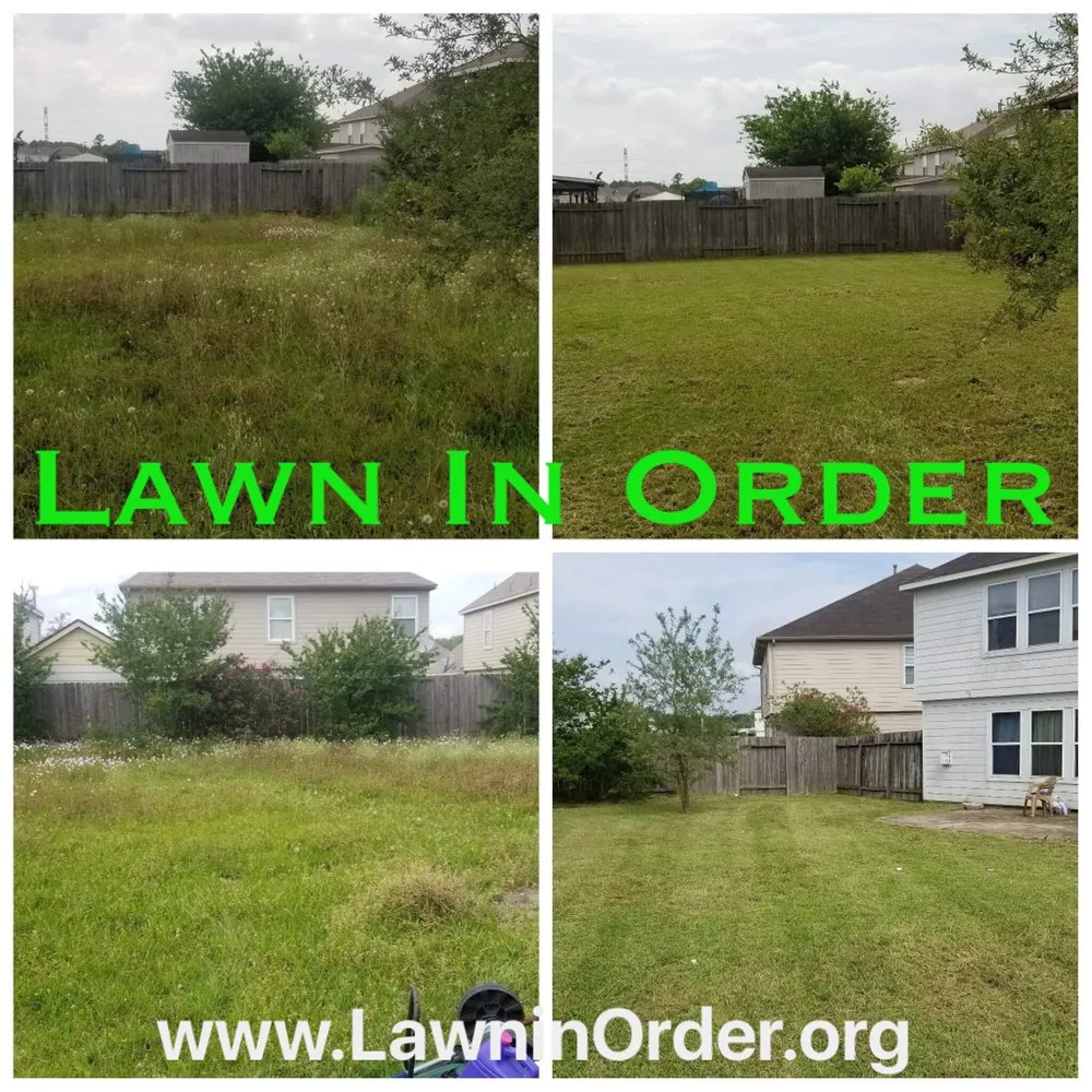 Expert lawn care service in Houston, TX by Lawn In Order