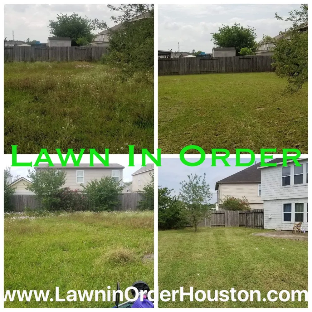 Professional yard cleanup service for year-round maintenance across Houston, TX - Lawn In Order