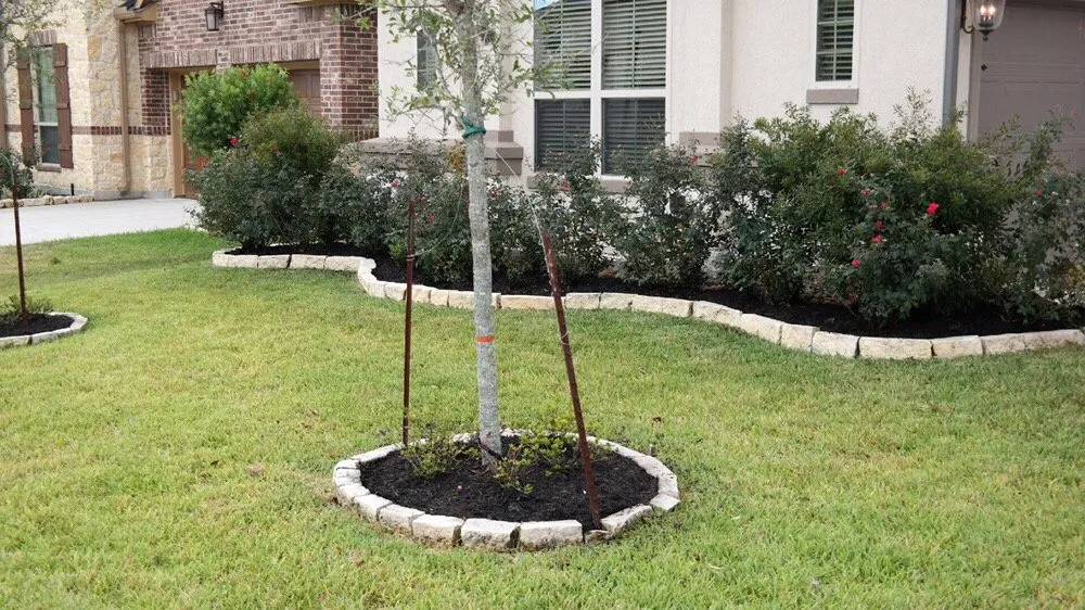 Professional lawn care service for residential properties in Houston, TX by Lawn In Order