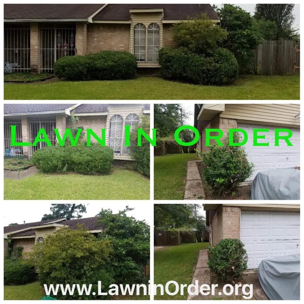 Reliable residential landscaping in Houston, TX by Lawn In Order