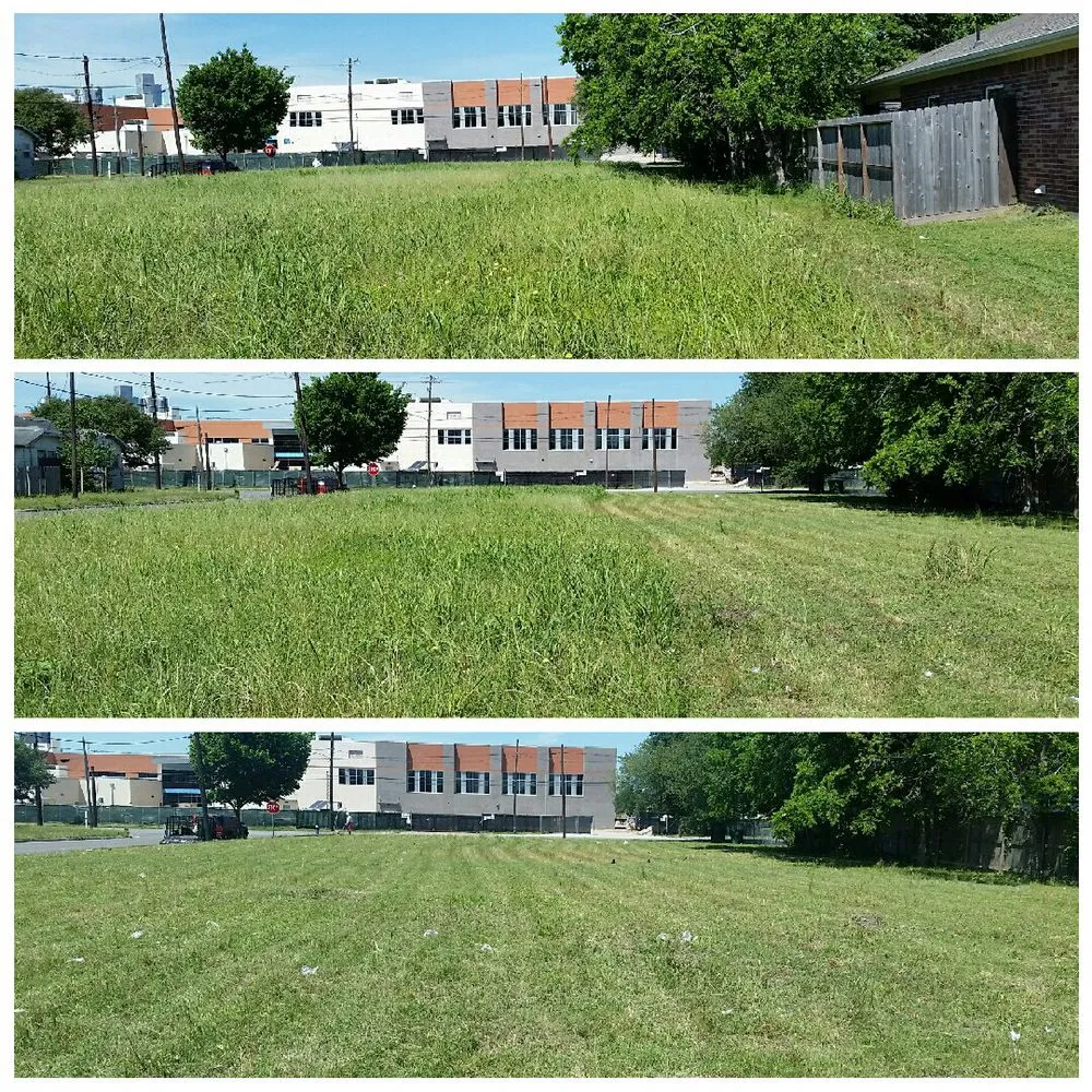 Top-rated yard cleanup service in Houston, TX - Lawn In Order