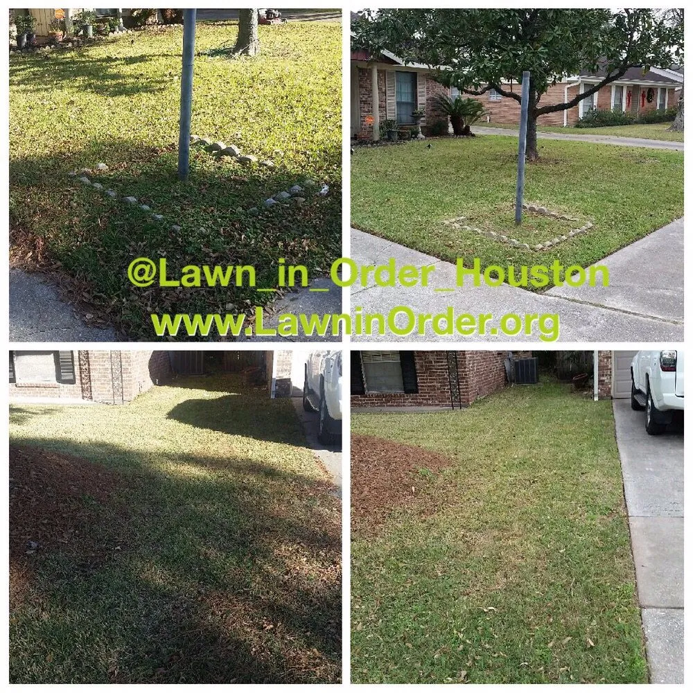 Trusted yard maintenance experts serving Houston, TX - Lawn In Order
