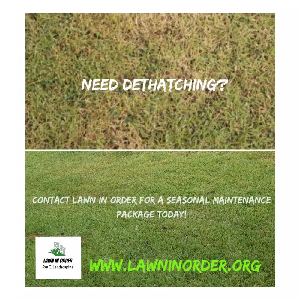 Affordable lawn mowing service in Houston, TX - Lawn In Order