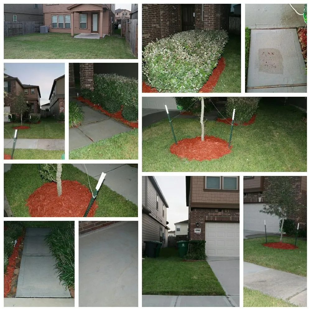 Local landscape installation in Houston, TX by Lawn In Order