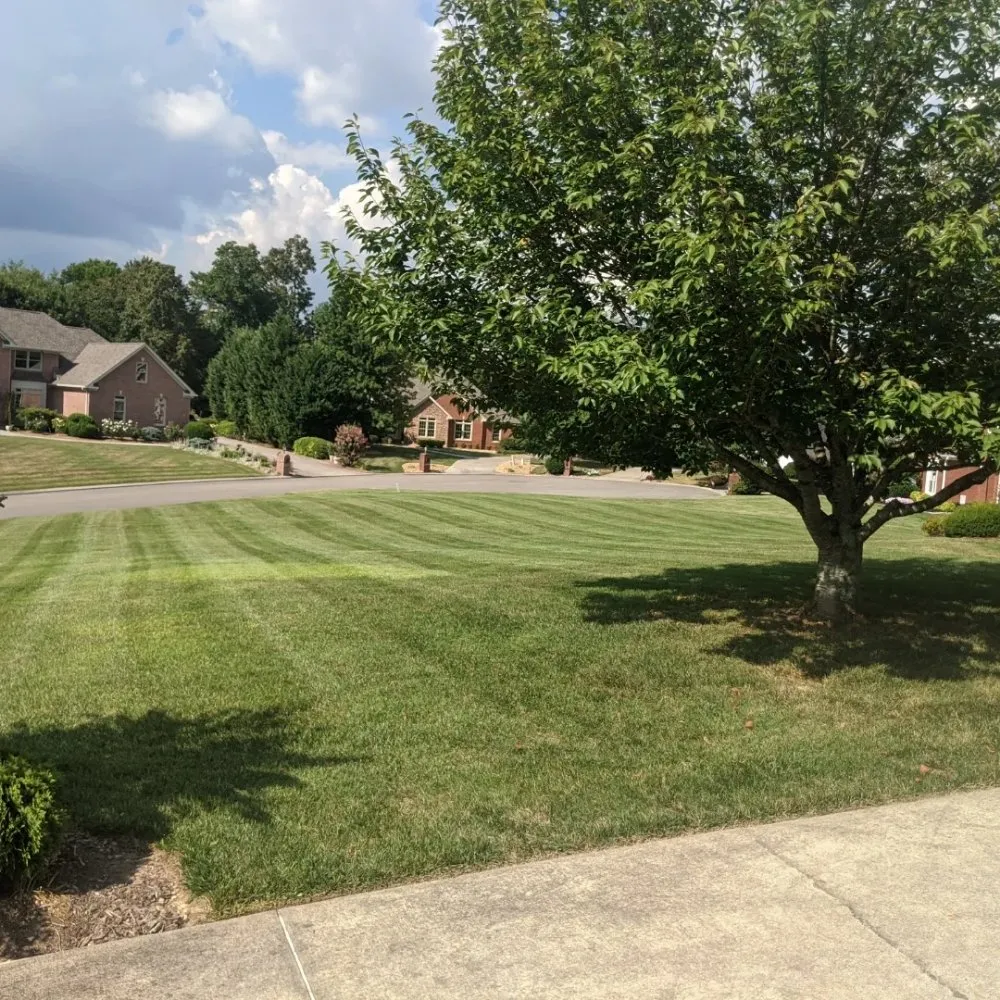Reliable yard maintenance with custom design in Ooltewah, TN by Lawn In Order Mowing