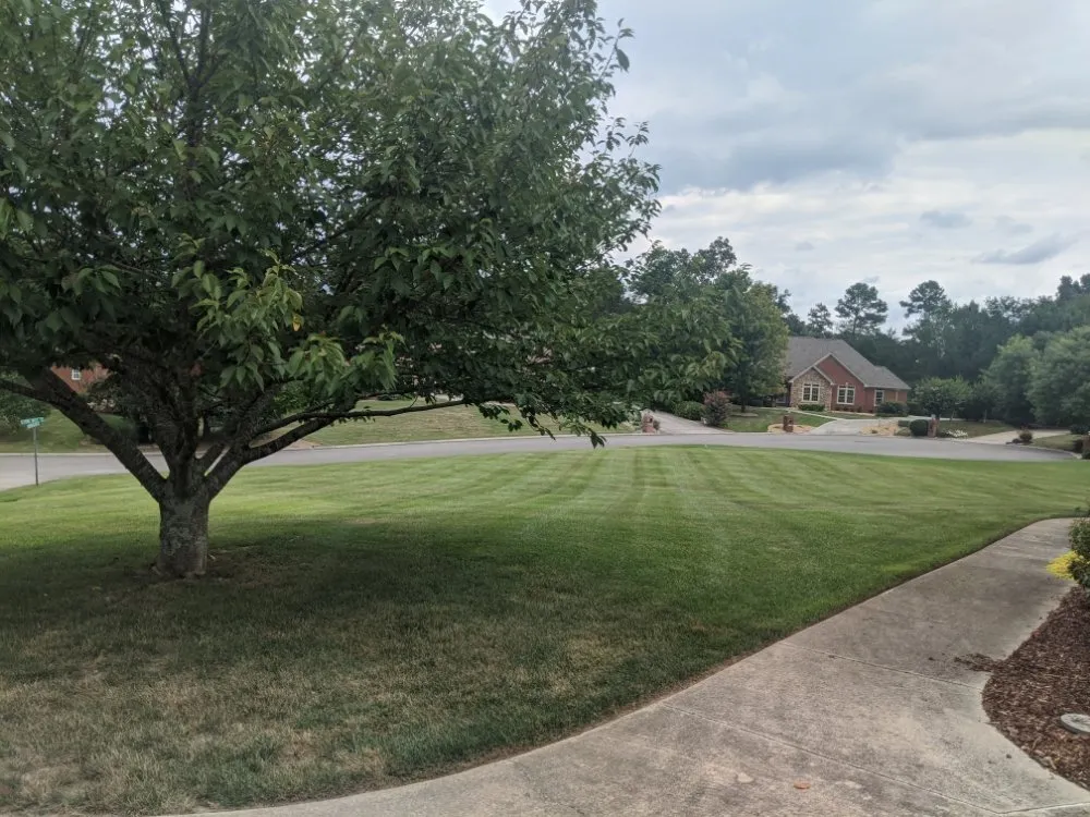 Reliable residential landscaping in Ooltewah, TN - Lawn In Order Mowing