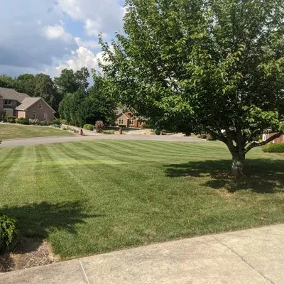 Lawn In Order Mowing Logo