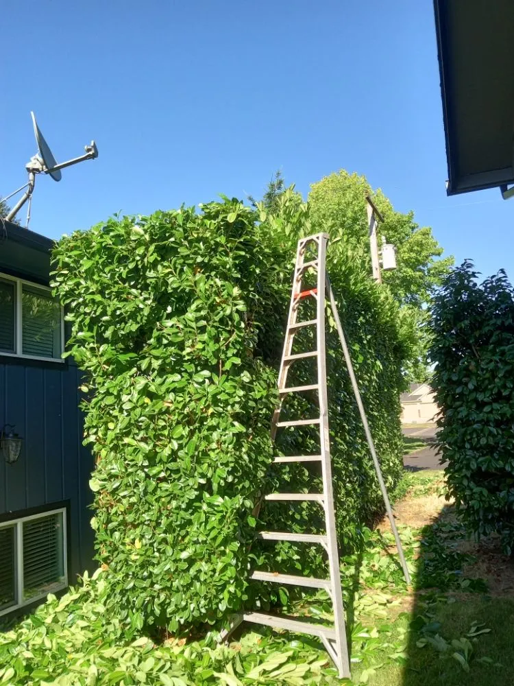 Top-rated lawn mowing service experts serving Vancouver, WA - lAWN IN ORDER: SPECIAL HARDSCAPING UNIT