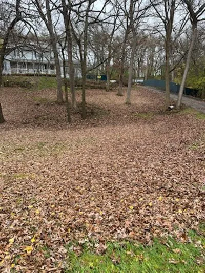 Expert yard maintenance experts serving Whitewater, WI - Lawn In Order